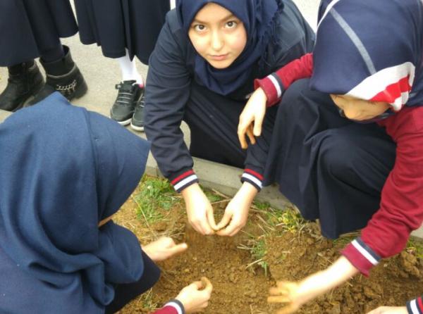 Baharda okulumuzu renklendirecek lale tohumlarını toprakla buluşturduk